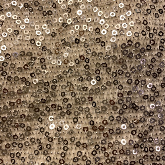 Express Sparkly Top - Picture 6 of 6